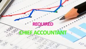 Kế toán trưởng tiếng Anh là gì